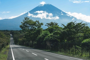 Monte Fuji: tour privato in auto personalizzabile con pick-up