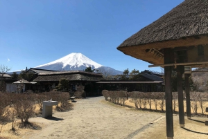 Monte Fuji: tour privato in auto personalizzabile con pick-up