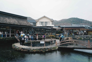 Monte Fuji: tour privato in auto personalizzabile con pick-up