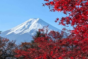 Monte Fuji: tour privato in auto personalizzabile con pick-up