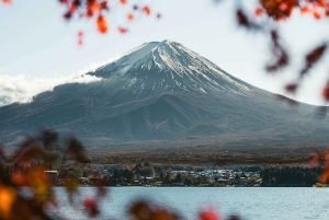 Monte Fuji: tour privato in auto personalizzabile con pick-up