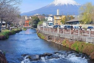 Mount Fuji & Hakone Tour with English-Speaking Driver