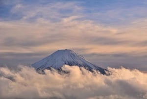 Tokio: prywatna wycieczka na górę Fuji i do Hakone z angielskojęzycznym kierowcą
