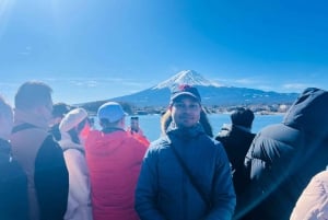 Tokio: prywatna wycieczka na górę Fuji i do Hakone z angielskojęzycznym kierowcą