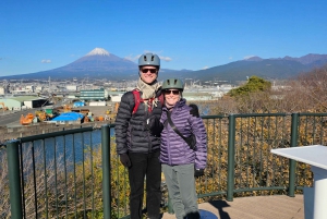 Mount Fuji E-Bike Tour: Explore Nature and History