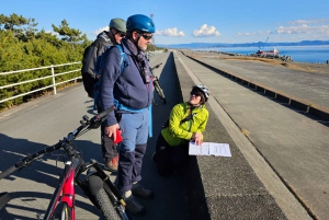 Mount Fuji E-Bike Tour: Explore Nature and History