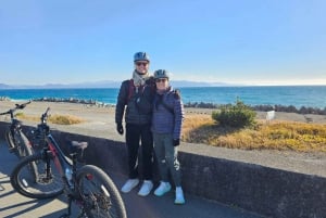 Mount Fuji E-Bike Tour: Explore Nature and History