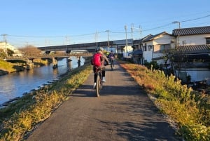 Mount Fuji E-Bike Tour: Explore Nature and History