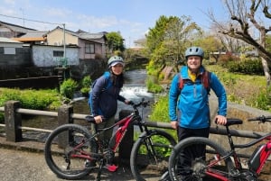 Tour in bici elettrica del Monte Fuji: Esplora la natura e la storia