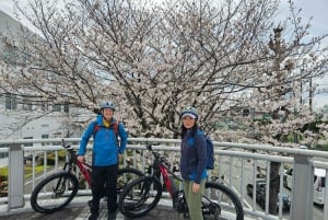 Tour in bici elettrica del Monte Fuji: Esplora la natura e la storia