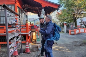 Tour in bici elettrica del Monte Fuji: Esplora la natura e la storia
