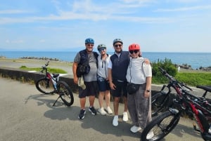 Fuji Berg E-Bike Tour: Ontdek natuur en geschiedenis