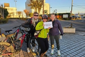 Fuji Berg E-Bike Tour: Ontdek natuur en geschiedenis
