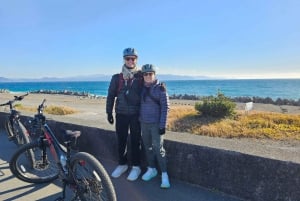 Fuji Berg E-Bike Tour: Ontdek natuur en geschiedenis