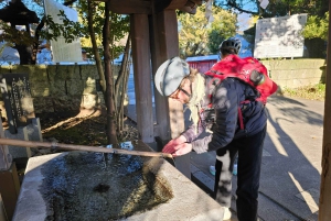 Fuji Berg E-Bike Tour: Ontdek natuur en geschiedenis