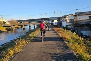 Fuji Berg E-Bike Tour: Ontdek natuur en geschiedenis