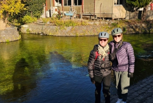 Fuji Berg E-Bike Tour: Ontdek natuur en geschiedenis