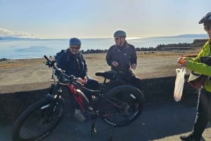 Fuji Berg E-Bike Tour: Ontdek natuur en geschiedenis