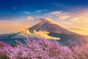 Mount Fuji: Exclusive Private Car Tour