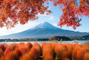 Mount Fuji: Exclusive Private Car Tour