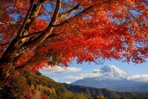 Полный день экскурсии по живописным местам горы Фудзи