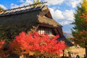 Полный день экскурсии по живописным местам горы Фудзи