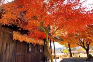 Полный день экскурсии по живописным местам горы Фудзи