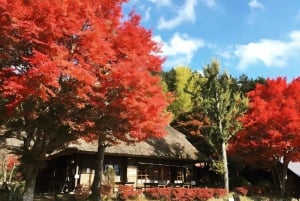 Полный день экскурсии по живописным местам горы Фудзи