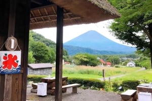 Полный день экскурсии по живописным местам горы Фудзи