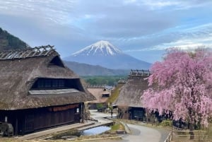 Полный день экскурсии по живописным местам горы Фудзи