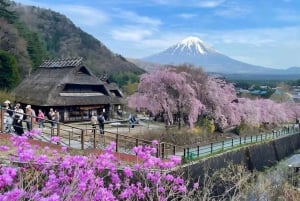 Полный день экскурсии по живописным местам горы Фудзи