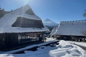 Полный день экскурсии по живописным местам горы Фудзи
