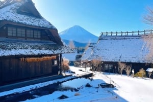 Полный день экскурсии по живописным местам горы Фудзи