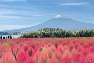 Полный день экскурсии по живописным местам горы Фудзи