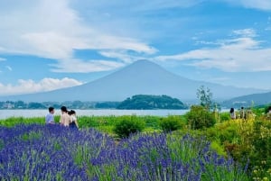 Полный день экскурсии по живописным местам горы Фудзи