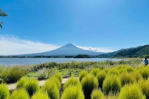 Полный день экскурсии по живописным местам горы Фудзи