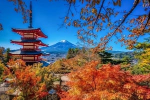 Полный день экскурсии по живописным местам горы Фудзи