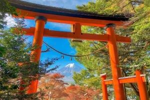 Полный день экскурсии по живописным местам горы Фудзи