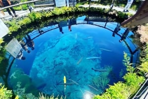 Полный день экскурсии по живописным местам горы Фудзи