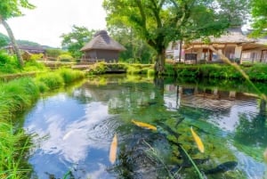 Полный день экскурсии по живописным местам горы Фудзи