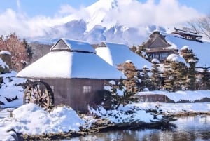 Полный день экскурсии по живописным местам горы Фудзи