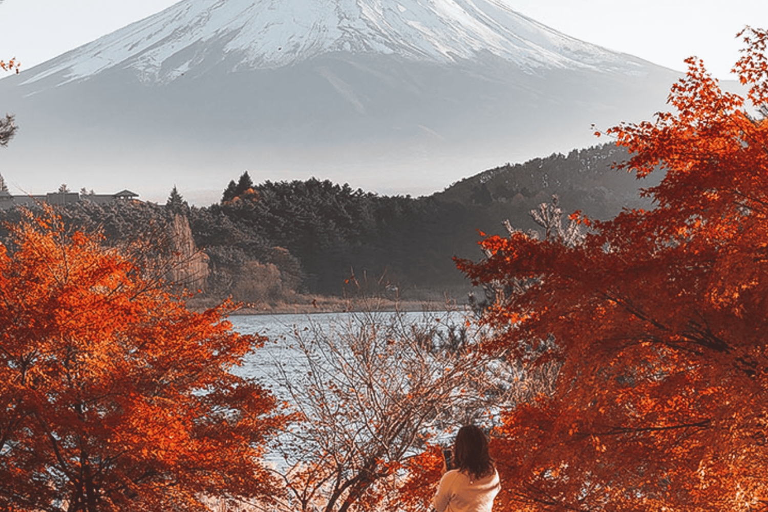 Mount Fuji Full Day Private Customizable Tour with Guide