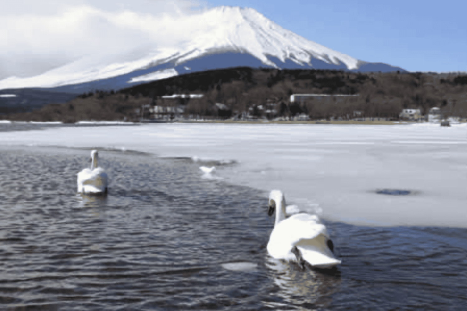 Mount Fuji Full Day Private Customizable Tour with Guide