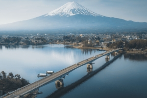 Mount Fuji Full Day Private Customizable Tour with Guide