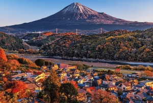 Mount Fuji Full Day Private Customizable Tour with Guide