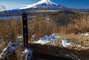 Mount Fuji Full Day Private Customizable Tour with Guide