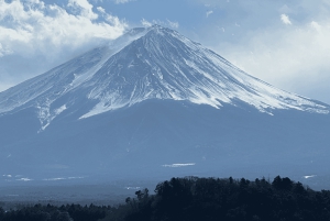 Private Tagestour zum Fuji ab Tokio (individuell anpassbar)