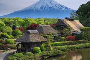 Private Tagestour zum Fuji ab Tokio (individuell anpassbar)