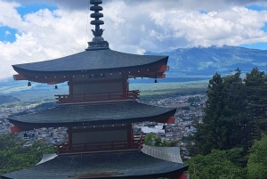 Private Tagestour zum Fuji ab Tokio (individuell anpassbar)