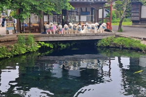 Private Tagestour zum Fuji ab Tokio (individuell anpassbar)